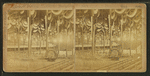 Great Peace Jubilee, Boston, 1869