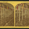 World's peace jubilee, 1872.
