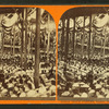 Coliseum--interior.