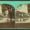 Frog Pond, Boston Common.