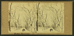 Boston Common in winter.