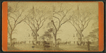 Soldiers' and Sailors' Monument, Boston Common.