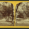 Boston Common.