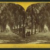 Boston Common.