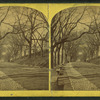 Boston Common.