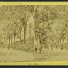 The Common.