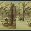 Apple vendor on Boston Common.