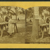 Apple vendor, Boston Common.