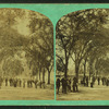 View of people on a tree-lined mall in Boston Common.