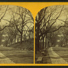 Beacon St. Mall, Boston Common.