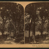 Under the elms, Boston Common, U.S.A.