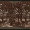 Under the elms, Boston Common.