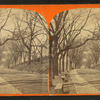 Beacon Street Mall--Boston Common.