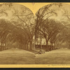 Beacon Street Mall, Boston Common, Mass.
