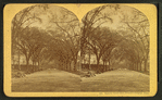 Beacon Street Mall, Boston Common, Mass.