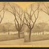 The Frog Pond, from Beacon St., Boston, Mass.