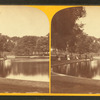 The Frog Pond.