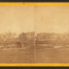 General view of the Public Gardens.