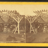 Rustic Arbor, Boston Public Garden.
