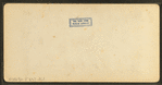Stereoscopic views of the Boston Public Gardens.
