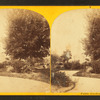 Stereoscopic views of the Boston Public Gardens.