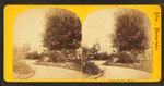 Stereoscopic views of the Boston Public Gardens.