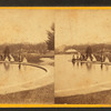 A group of people standing next to the pond.