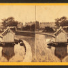 Boston Common, Pond.