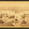 The Public Garden, Boston, Mass.