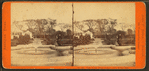 View on the Public Garden, Boston, Mass.