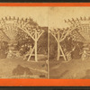 Rustic arbor, Boston Public Garden.
