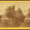 Man standing in front ot Washington statue, trees in foreground.