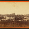 General view of the Boston Public Garden.