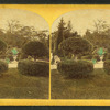 View of a garden with topiary work and century plants in urns.
