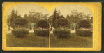 View of a garden with topiary work and century plants in urns.