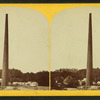 Echo chimney, Boston highlands.
