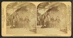 A type of southern rusticity, sportsmen's exhibition, Boston, 1898.