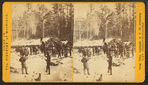 Camp at noon at L.B. Curtis & Co's.