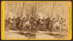Camp at noon at Thomas Foster's.