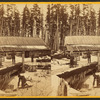 Camp Barn at Thomas Foster's.