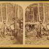 Grinding and filing at L.B. Curtis & Co's.