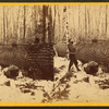 Men sawing at the lumber camp.