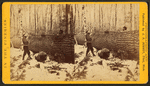 Men sawing at the lumber camp.