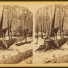 Sawing and butting at L.B. Curtis & Co's.
