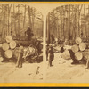 Hauling at L.B. Curtis & Co's.