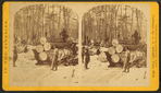 Hauling at L.B. Curtis & Co's.