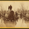 Hauling at Thomas Foster's.