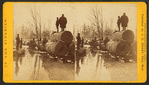 Hauling at Thomas Foster's.