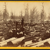 Banking ground, Squaw Creek, Thomas Foster's.