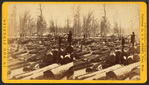 Banking ground, Squaw Creek, Thomas Foster's.